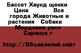 Бассет Хаунд щенки › Цена ­ 20 000 - Все города Животные и растения » Собаки   . Мордовия респ.,Саранск г.